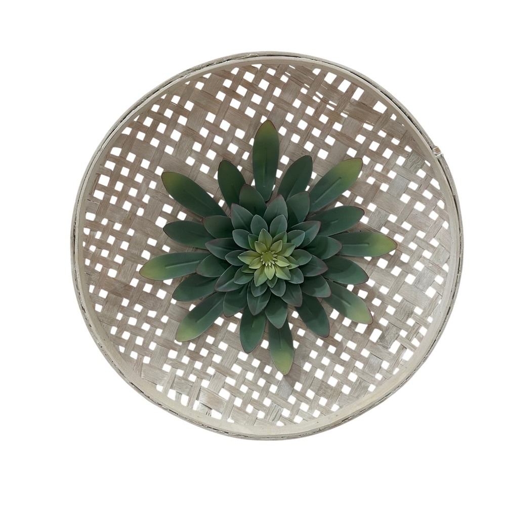 Hobby Lobby Woven Tobacco Basket Wall Decor Metal Green Succulent Flower 17.5 in